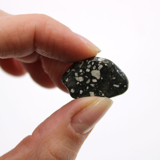 Small Tumble Stones - Guinea Fowl