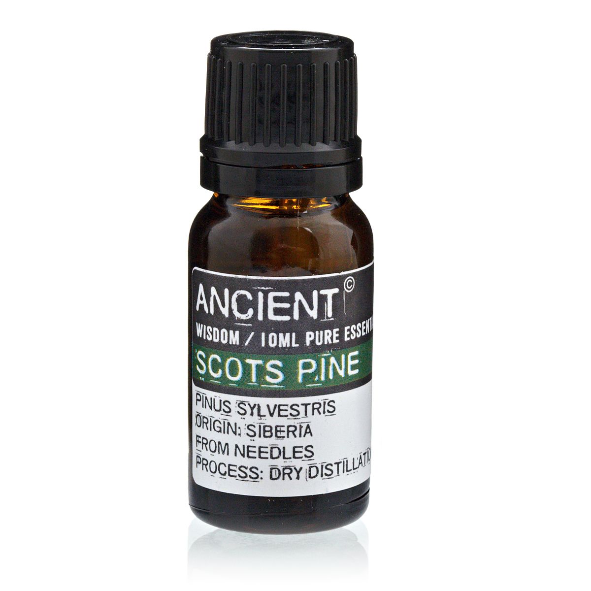 Scots Pine Essential Oil - 10ml