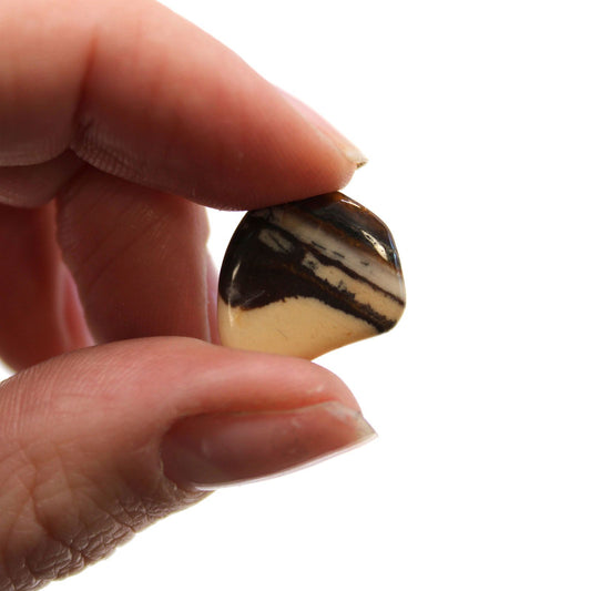 Small Tumble Stones - Picture Nguni