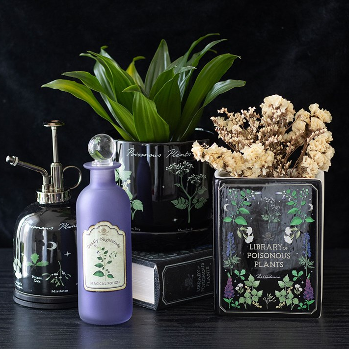 Decorative items including a purple bottle, plant pots, and books on a dark surface.