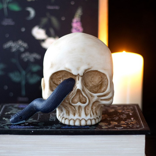 Skull with a snake on a book against a dark background with candles