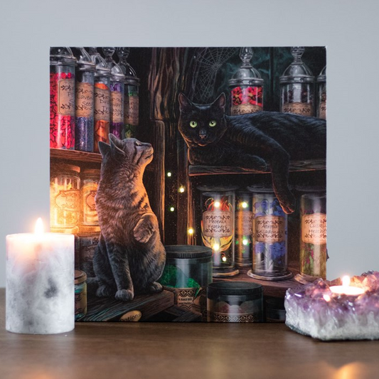 Two cats in a room with books and candles on a wooden surface.