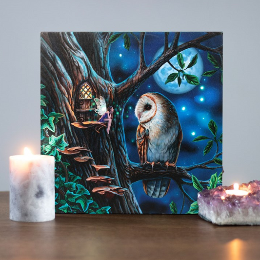 Fairy Tales Light Up Canvas Plaque by Lisa Parker