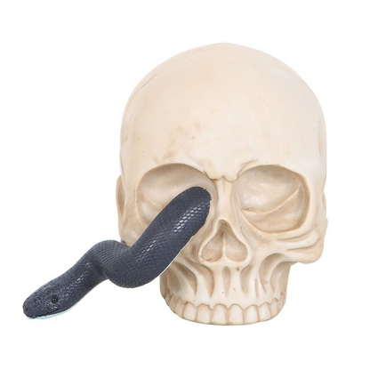 Skull with a black snake emerging from its mouth on a white background