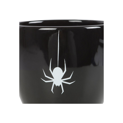 Black Spider Teacup