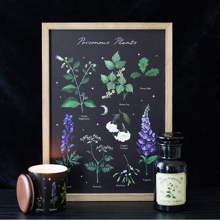 Poisonous Plants Framed Wall Art Print