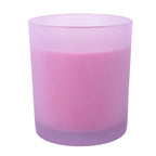 Virgo - Zodiac Zest - Citrus & Ginger Candle