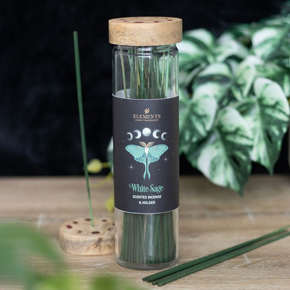 Glass bottle with wooden lid containing white sage sticks on a wooden surface with plants in the background.