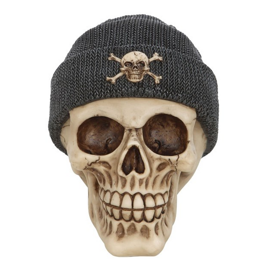 Skull wearing a gray beanie with a skull and crossbones design on a white background