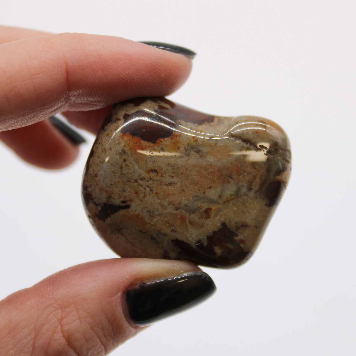 Large Tumble Stones - Jasper Nguni