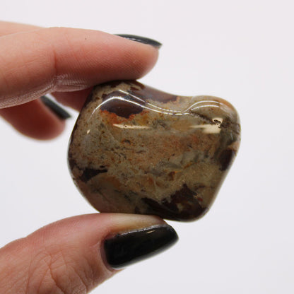 Large Tumble Stones - Jasper Nguni