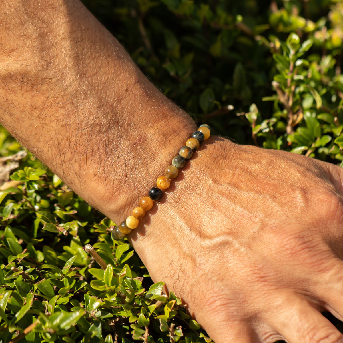 Petite Power Bracelet - Dream Tiger's Eye