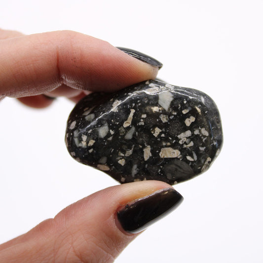 Medium Tumble Stones - Guinea Fowl Medium