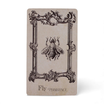 The Spellbook Oracle Cards - Witchcraft Deck