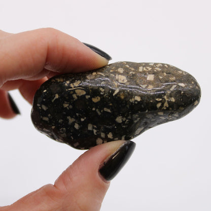 Large Tumble Stones - Guinea Fowl Large