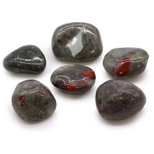 Large Tumble Stones - Bloodstone - Sephtonite