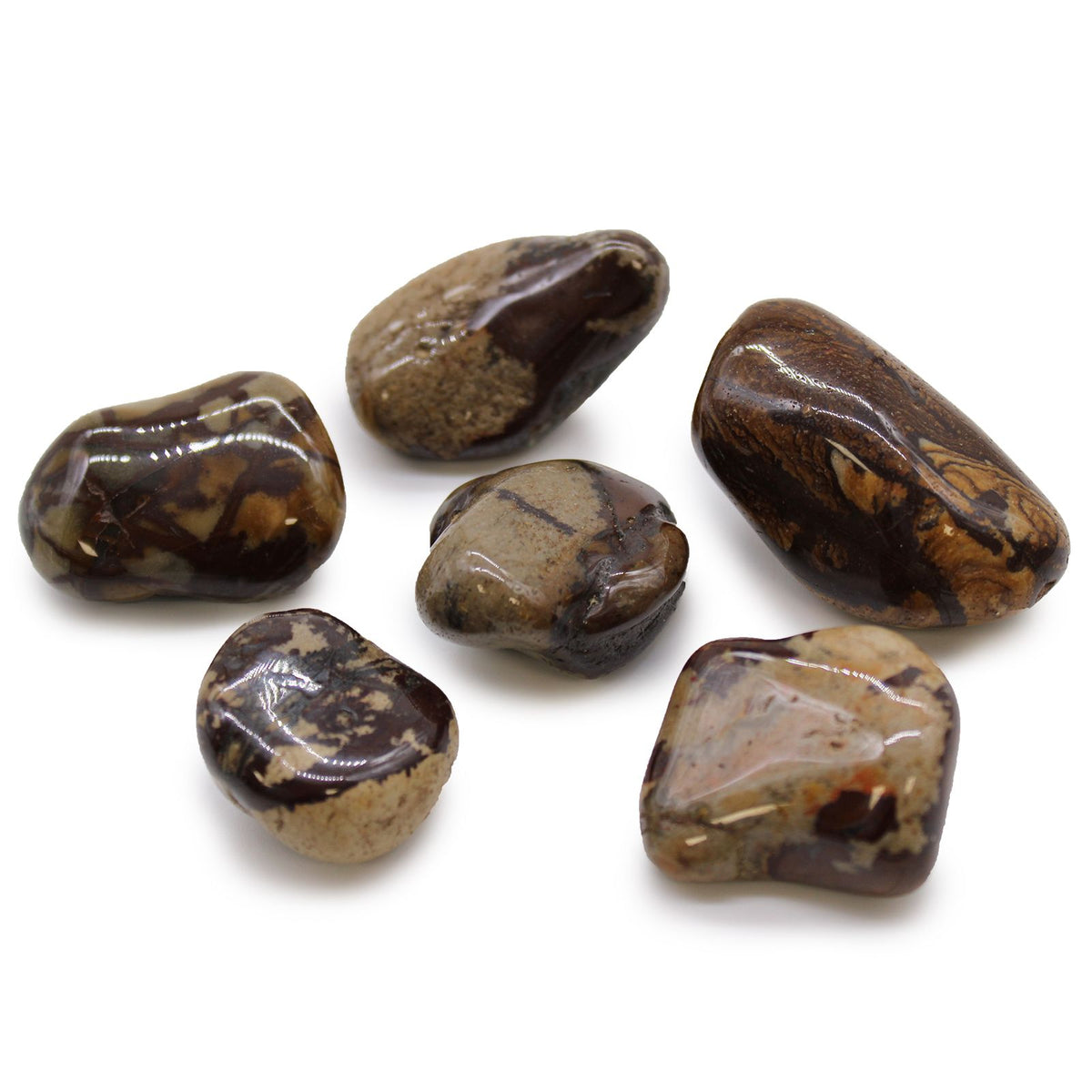 Large Tumble Stones - Jasper Nguni