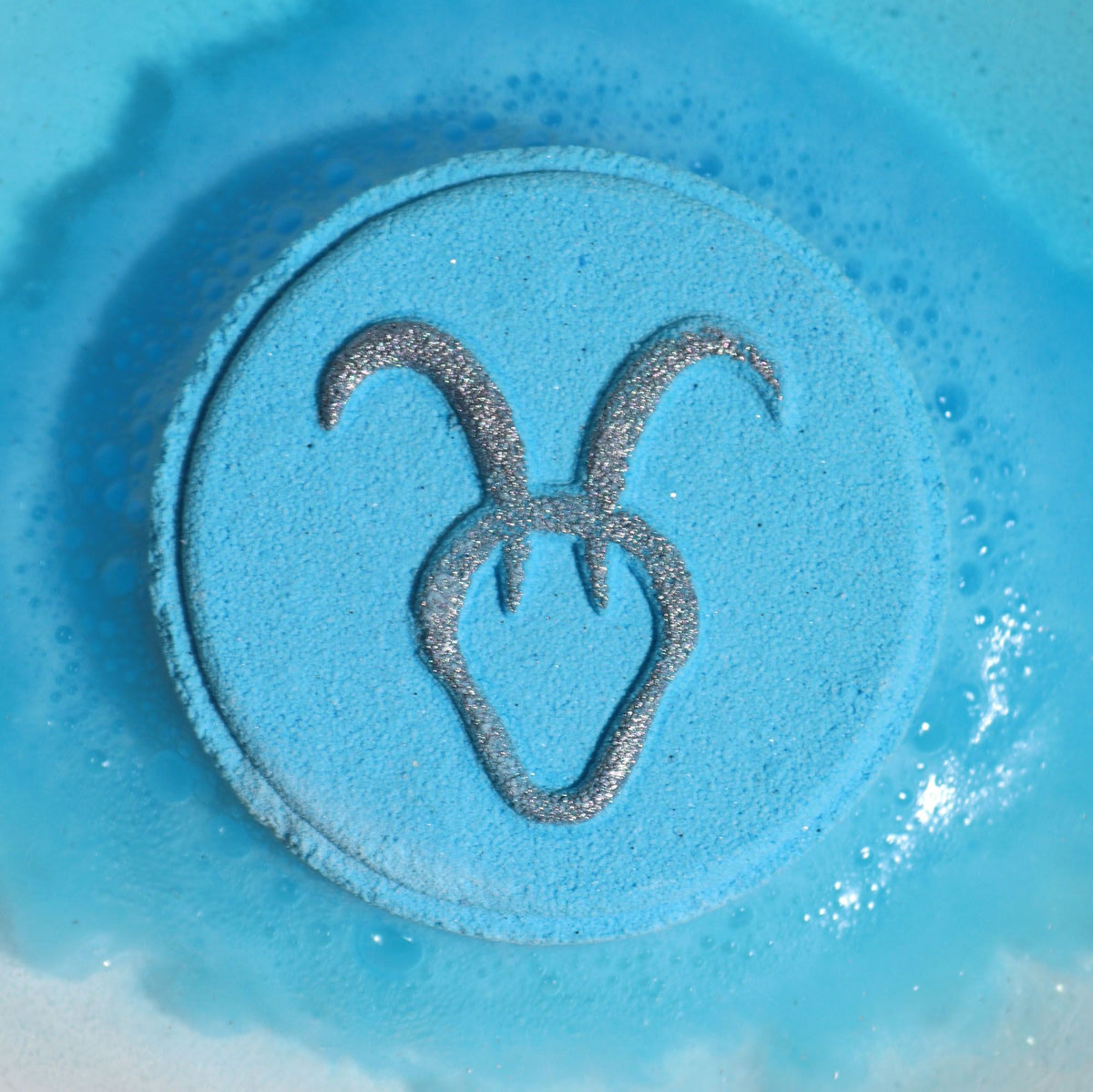 Zodiac Bath Fizzers with Horoscope - Capricorn