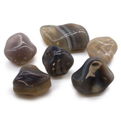 Large Tumble Stones - Grey Agate - Botswana