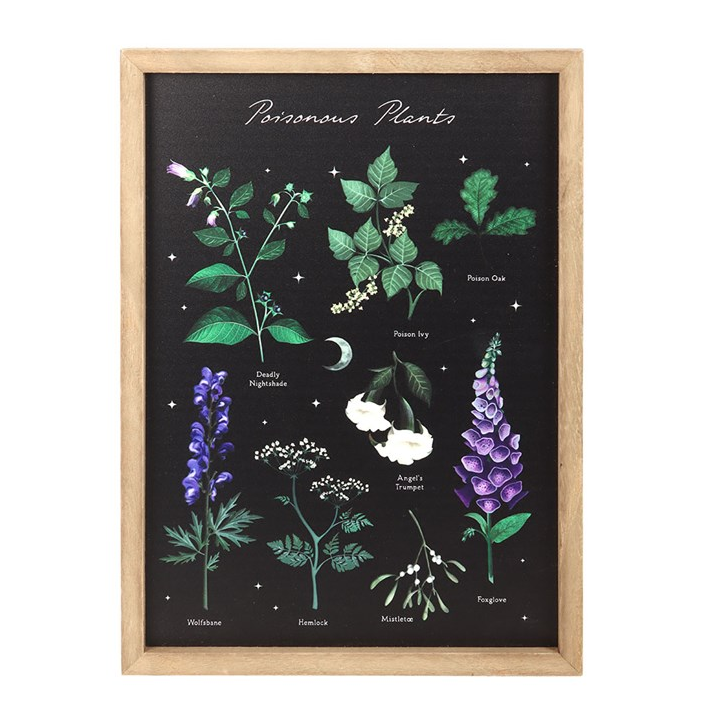 Framed botanical illustration of poisonous plants on a black background