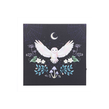 Night Owl Light Up Canvas Plaque