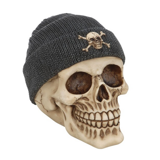 Skull wearing a gray beanie with a skull and crossbones design on a white background