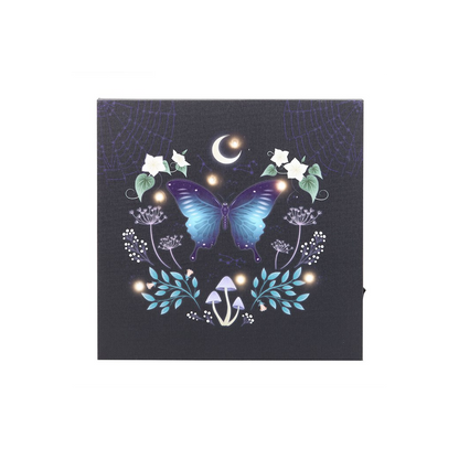 Midnight Moth Light Up Canvas Plaque